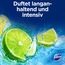 Domestos Power 5 WC Stein Limette WC Reiniger im Vorteilspack volle Power bis zu 900 Spülungen im Trio 3x 50 g