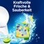 Domestos Power 5 Toilettenstein Limette WC Reiniger im Vorteilspack Volle Power bis zu 900 Spülungen im Trio 3x 50 g (Packung mit 4)
