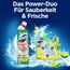 Domestos Power 5 Toilettenstein Limette WC Reiniger im Vorteilspack Volle Power bis zu 900 Spülungen im Trio 3x 50 g (Packung mit 2)