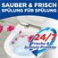 WC-Frisch WC FRISCH Kraft Aktiv Duftspüler Blüten-Frische (150 g), WC Reiniger für Reinigung bei jeder Spülung, Duftsteine für langanhaltend frischen Duft, + 50 % Anti-Kalk Effekt*