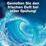 WC FRISCH Kraft Aktiv Blauspüler Chlor, WC-Reiniger und Farbspüler für hygienische Sauberkeit, mit 50 Prozent mehr Glanz ,1er Pack, 50 g