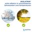 BIOLATRIN CLASSIC Fortschrittliche biologische Klärgrubenbehandlung - Klärgruben zersetzer - Für Haus, Hof, Freizeitanlagen - Schnelle Ergebnisse für die Sickergrube - 2 x 400G - Sparset 2 Packungen