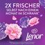 Lenor Wäscheparfüm Blütentraum 275g, Non-Stop Frische Für Bis Zu 12 Wochen Im Schrank