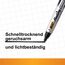 BIC Marking 2000 Permanent Marker, in Schwarz, Wasserfester Stift für Glas, Metall, Holz & Co, Strichstärke 1,7 mm, 12er Pack