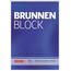 Brunnen Baier & Schneider Brunnen 1052757 Briefblock / Schreibblock / Der Brunnen Block (A4, liniert, 50 Blatt, 70 g/m², 4-fach gelocht)