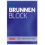 Brunnen Baier & Schneider Brunnen 1052757 Briefblock / Schreibblock / Der Brunnen Block (A4, liniert, 50 Blatt, 70 g/m², 4-fach gelocht)