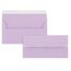 150x Briefpapier Set DIN A4 mit DIN Lang Briefumschlägen, Haftklebung - Flieder - mattes Schreibpapier mit Kuverts - FarbenFroh by GUSTAV NEUSER